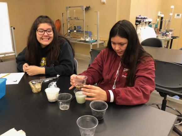 Two LL Wright HS (Ironwood) students design a process to clean wastewater in 'Drain to Drinking Water' session presented by Joan Chadde.