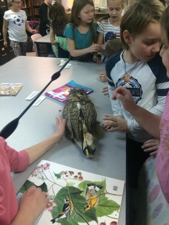 Fourth graders examining preserved bird specimens provided by their community partner, the Copper Country Audubon Club.