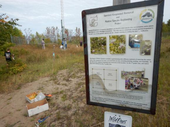A student-created sign at Calumet Waterworks Park informs visitors of their project to control Knapweed, an invasive species.